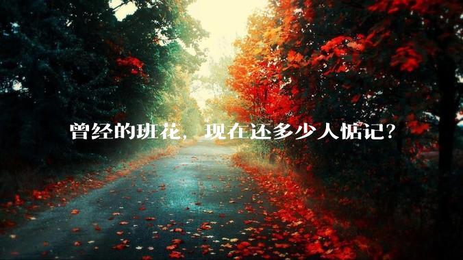 曾经的班花，现在还多少人惦记？